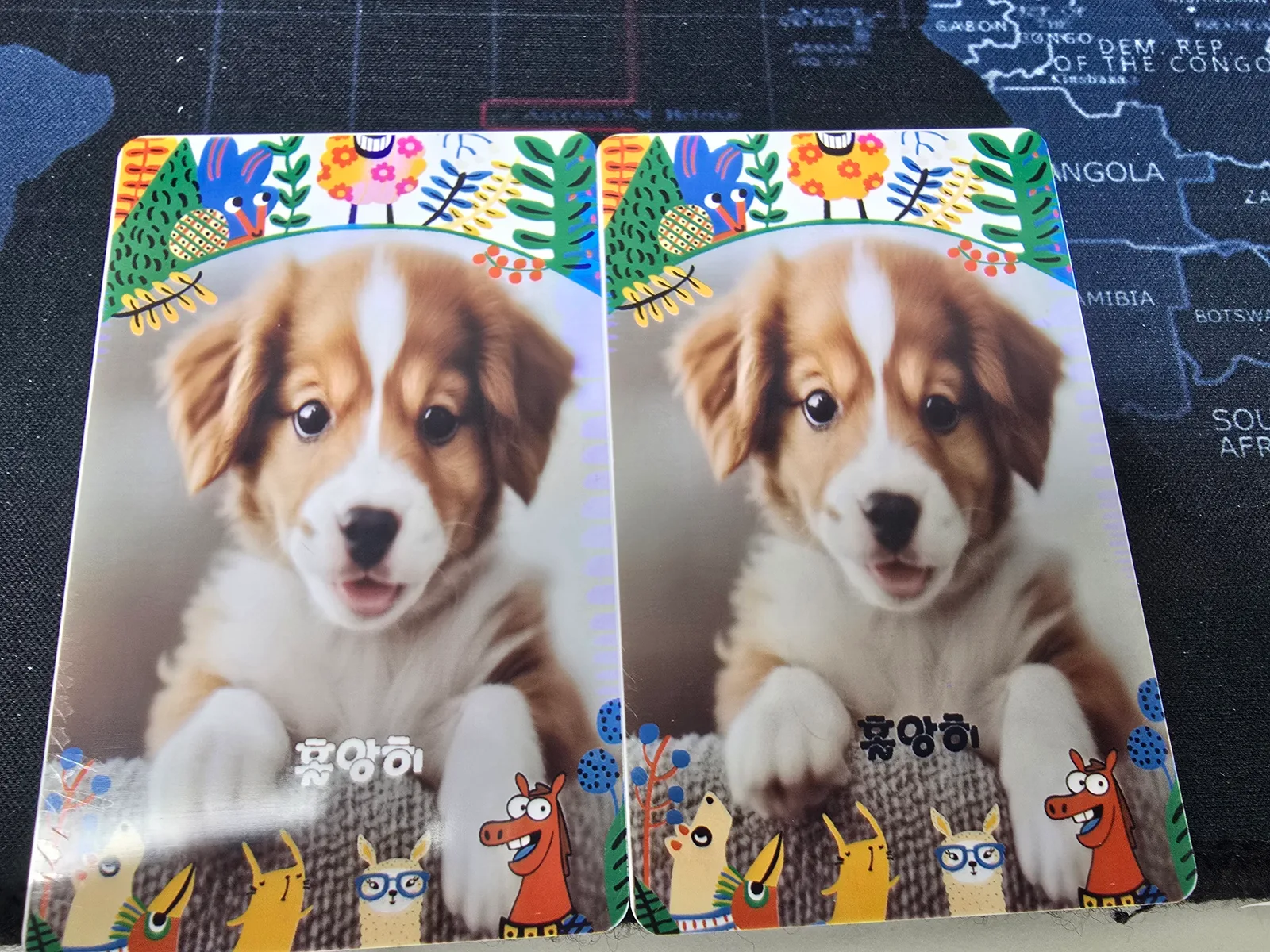 실제 출력된 포토카드 예시(현장 사진)
